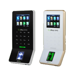 Ever Focus IT Solutions