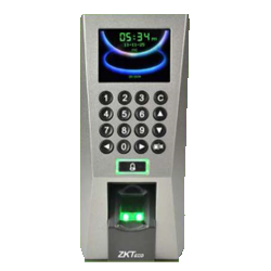 Ever Focus IT Solutions